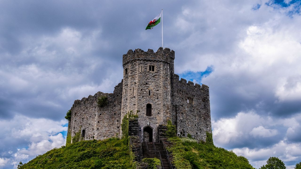 A chef frying food in a wok