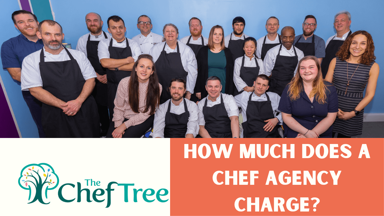 How much does a chef agency charge?